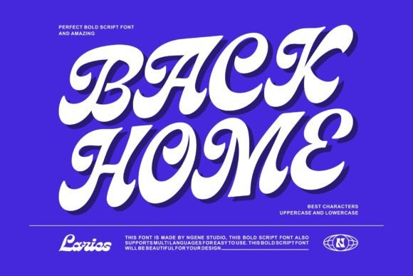 Laries Script Font for Small Business Branding